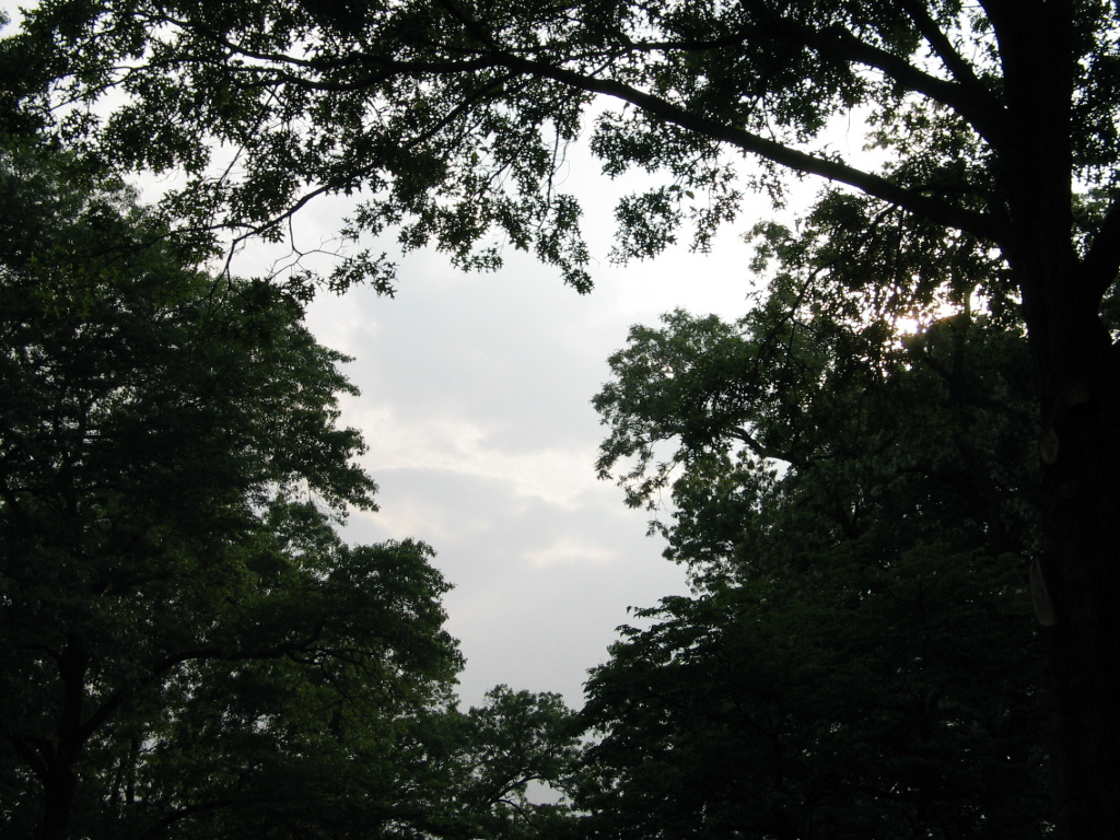 306-0644_IMG.JPG